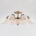 Потолочная люстра Eurosvet 22010/6+2 Ariele 00000055432