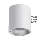 Потолочный светильник Odeon light 7139/12CL BRIM