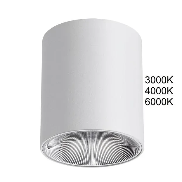 Потолочный светильник Odeon light 7139/12CL BRIM
