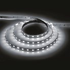 Cветодиодная лента Feron 41447 LS606, 60SMD(5050)/м 14.4Вт/м IP20 12V 4000К 5м
