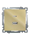 Розетка 2-местная USB + type C (механизм), 250В, 3А, max 20W,  Stekker 50053, GLS10-7116-08, серия Катрин, золото
