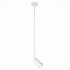 Светильник подвесной ST-Luce SL1206.503.01 SORMANO