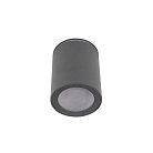 Накладной светильник Loft IT 10344 Black Rush