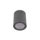 Накладной светильник Loft IT 10344 Black Rush