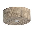 Потолочный светильник DeMarkt 712010101 Иланг