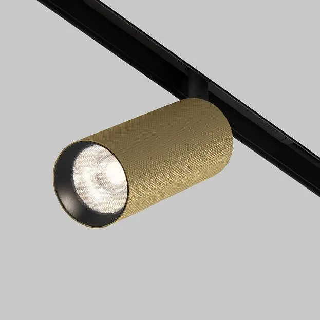 Трековый светильник Technical Maytoni TR097-2-12W4K-M-BMG Artisan