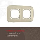 Рамка из поликарбоната на 2 поста Arte Milano 505.05-2.shampan am