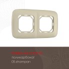 Рамка из поликарбоната на 2 поста Arte Milano 505.05-2.shampan am