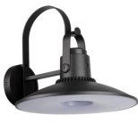 Настенный светильник уличный Oasis Light W2746 R