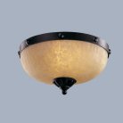 Потолочный светильник L'Arte Luce L50352.46 Fort