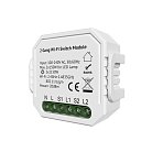 Двухканальное Wi-Fi реле-выключатель 2 x 1150 Вт / 2 x 100 Вт для LED Denkirs RL1002-SM/1 Relay