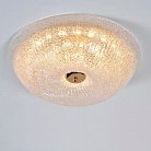 Потолочный светильник Cloyd 11039 Manioсa