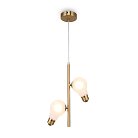 Подвесной светильник Freya FR5372PL-02BS Evidence