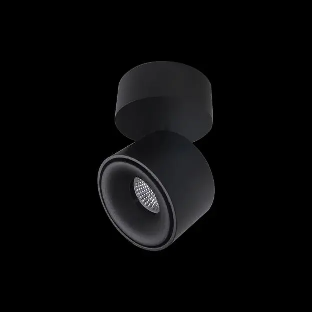 Накладной светильник Citilux CL558011N Стамп