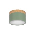 Накладной светильник Loft IT 10162 Green Grape