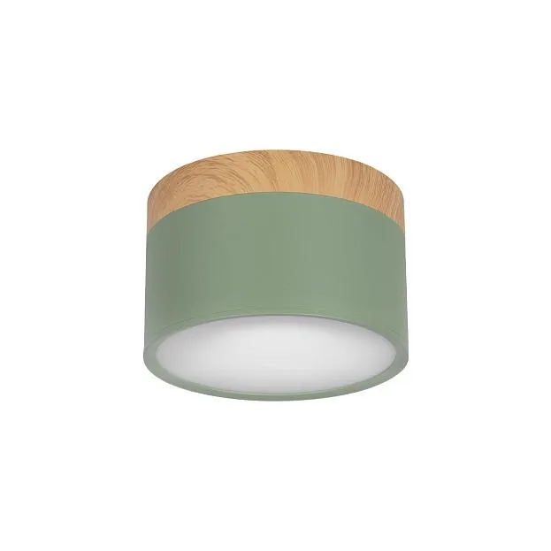 Накладной светильник Loft IT 10162 Green Grape