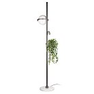 Торшер Loft IT 10121/F Dark grey Jardin