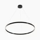 Подвесной светильник Maytoni MOD058PL-L54BK Rim