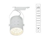 Трековый светильник Arte Lamp A2718PL-1WH CINTO
