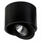 Поворотный светильник Favourite 1778-1C Reflector