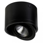 Поворотный светильник Favourite 1778-1C Reflector