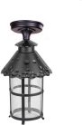Потолочный светильник уличный Oasis Light 81505A Bl CAIOR 1
