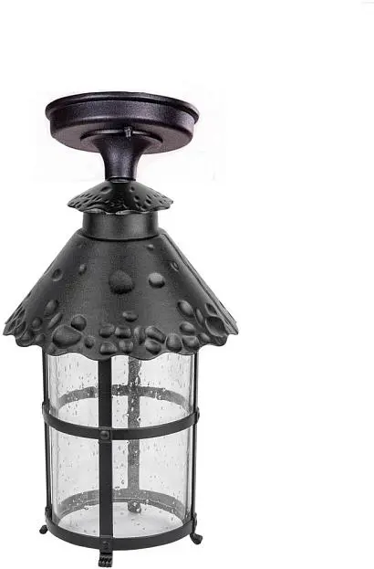Потолочный светильник уличный Oasis Light 81505A Bl CAIOR 1 Потолочный светильник уличный Oasis Light 81505A Bl CAIOR 1