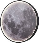 Настенно-потолочный светильник Escada 10226/SG LED Mars Planet