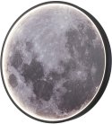 Настенно-потолочный светильник Escada 10226/SG LED Mars Planet
