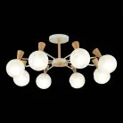 Люстра потолочная EVOLUCE SLE220702-08 CATANIA
