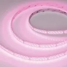 Светодиодная лента Arlight 044036