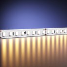 Светодиодная лента Led Strip Maytoni 201096