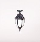 Потолочный светильник уличный Oasis Light 92105A Bl GENUYA