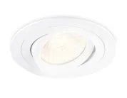 Встраиваемый поворотный точечный светильник GU5.3 Ambrella light TN102501 TECHNO SPOT