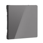 Клавиша для выключателя перекрестного (графит акрил) Werkel W1119044 a064098