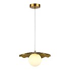 Светильник подвесной Evoluce SLE1196-303-01 LOREA