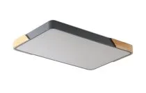 Светильник потолочный ZORTES ZRS.01277.60 ALBERRO