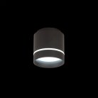 Потолочный светильник Citilux CL745021N Борн
