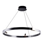 Подвесная люстра Arte Lamp A1993SP-38BK CESARE