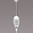 Уличный светильник подвесной Oasis Light 83405L W