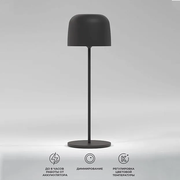 настольный светильник Elektrostandard TL70260 Bitty a069002