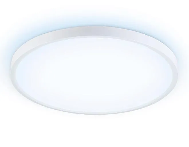 Потолочный светодиодный светильник Ambrella light FZ3005 WH