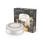 Настенно-потолочный светильник Gauss BL216