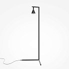 Напольный светильник (торшер) Maytoni MOD489FL-L20B3K Stripe