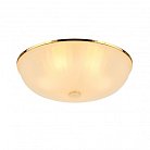 Потолочный Светильник F-Promo 2752-5C Costa