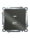 Розетка 2-местная USB + type C (механизм), 250В, 3А, max 20W, серия Катрин, графит, GLS10-7116-06 Stekker 50052Розетка 2-местная USB + type C (механизм), 250В, 3А, max 20W, серия Катрин, графит, GLS10-7116-06