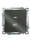 Розетка 2-местная USB + type C (механизм), 250В, 3А, max 20W, серия Катрин, графит, GLS10-7116-06 Stekker 50052Розетка 2-местная USB + type C (механизм), 250В, 3А, max 20W, серия Катрин, графит, GLS10-7116-06