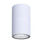 Фасадный светильник Arte Lamp A3302PF-1WH MISTERO