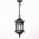 Уличный светильник подвесной Oasis Light 89905L Bl