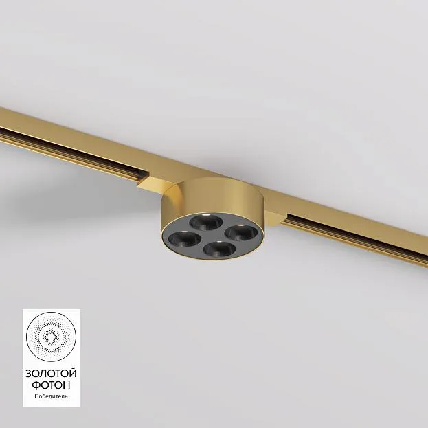 Светильник для трека Denkirs DK5772-SB SHINE GRILL